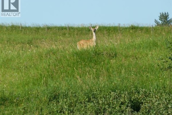 9, 420069 Range Road 284, Rural Ponoka County, AB T4J1R3 Photo 5
