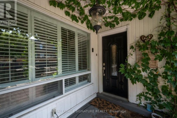 Close-up of townhouse front door with adjacent window and ivy. - 9 - 61 Ardglen Drive, Brampton