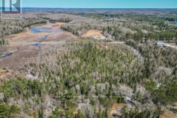 9 - Lot 18 Concession, Lake Of Bays, ON P0B1A0 Photo 5