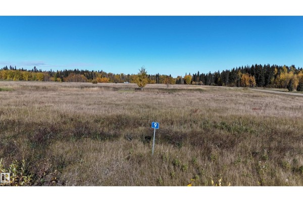 #9 49505 Rr 80, Rural Brazeau County, AB T7A1T1 Photo 4