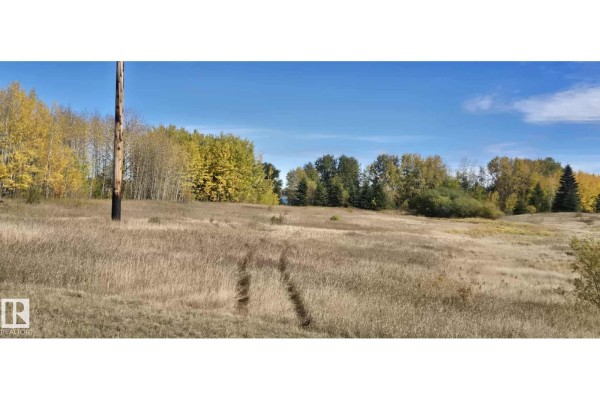 Open land with tall grass and trees in the background under a clear blue sky. - 9 Bechthold Bay 104, 191054 Twp 852, Rural Athabasca County
