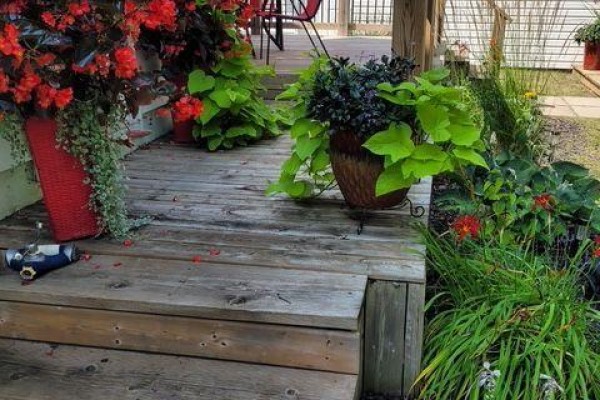 Covered gazebo on wooden deck overlooking backyard and garden area - 9 Beech Street, Port Colborne