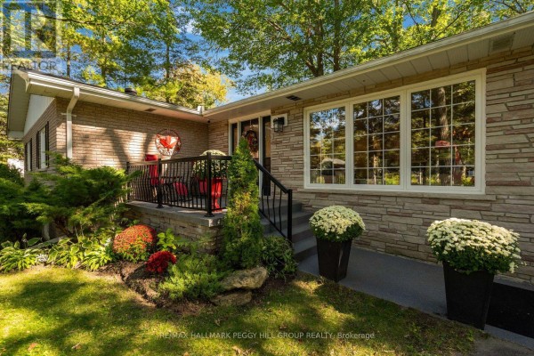 Close-up of the front entrance with stone accents, large windows, and potted chrysanthemums. - 9 Cabell Road, Tiny