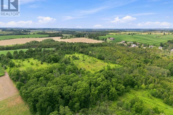 9 Couves Lane, Scugog, ON L0C1B0 Photo 4