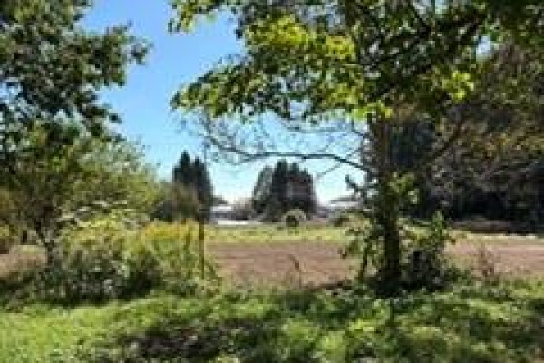 9 E Concession 5 Road E, Hamilton, ON L8B1K4 Photo 2