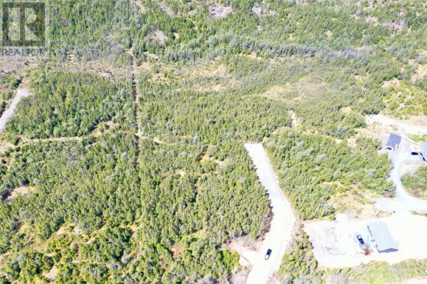 9 Valley Ridge Road, Blaketown, NL A0B1C0 Photo 5