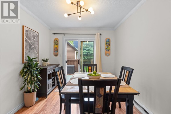Recreation room - 90 Glenview Terrace, St  John S, NL A1E3H7 Photo 4