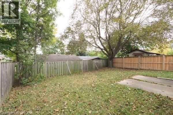 Backyard view showing a lawn, fence, concrete pad, and large tree. - 90 Pepperwood Crescent, Kitchener
