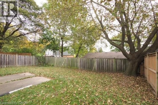 View of the fenced backyard with a grassy area, fallen leaves, and a tree. - 90 Pepperwood Crescent, Kitchener