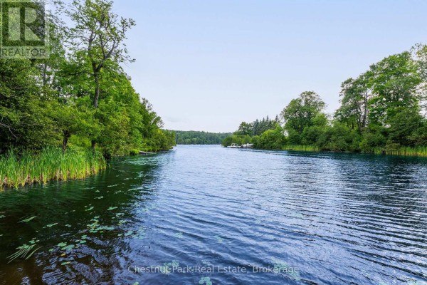 View of a wide, calm lake with trees and green reeds lining the shore. - 90 Swallowdale Road, Huntsville