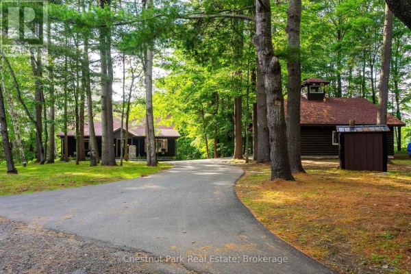 Asphalt driveway leading past a log cabin and trees towards a larger building. - 90 Swallowdale Road, Huntsville