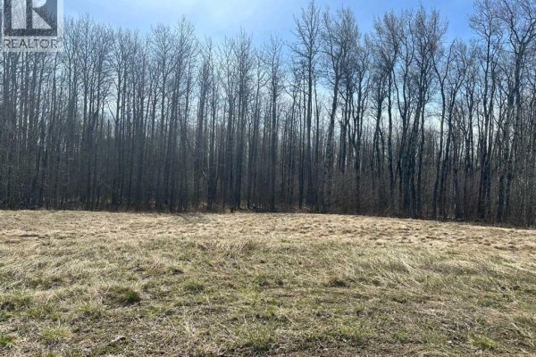 Long expanse of dry grass leading to a dense line of tall, bare trees and shrubs. - 90058b Twp 720, Wembley