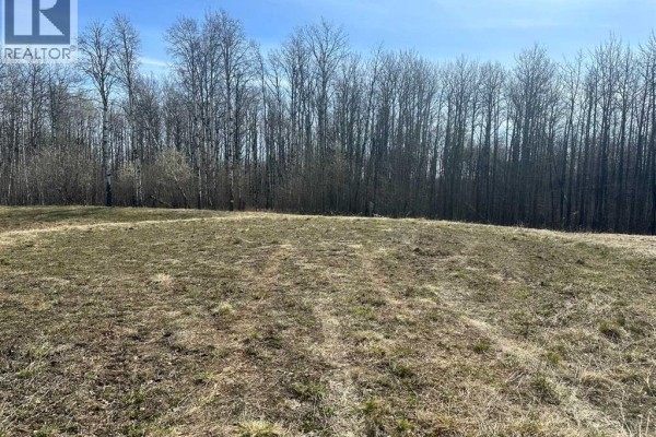 Undulating grassy terrain with tire tracks visible, backed by a dense forest of bare trees. - 90058b Twp 720, Wembley