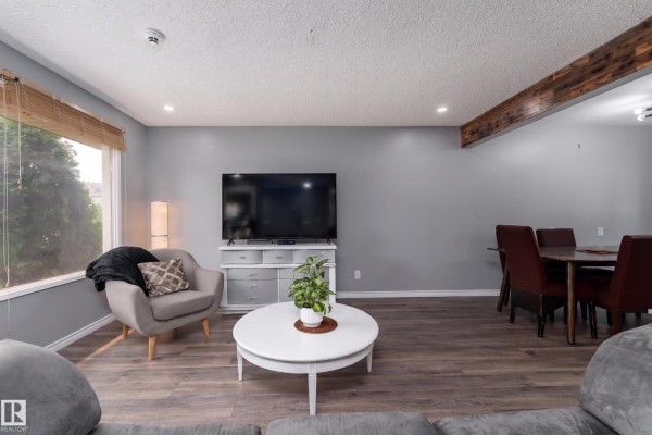 Living room with grey sofa, accent chair, television, and dining area in background. - 9012 Meadowlark Rd Nw, Edmonton