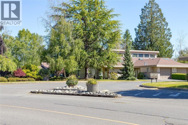 Kitchen - 902 Lakes Blvd, Parksville, BC V9P2P8 Photo 5