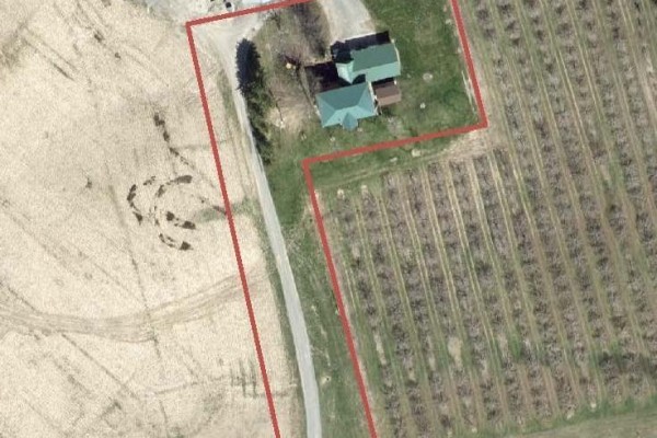 Aerial view of a property showing a house, outbuilding, fields, and orchard. - 903 Concession 13 Townsend Road, Norfolk