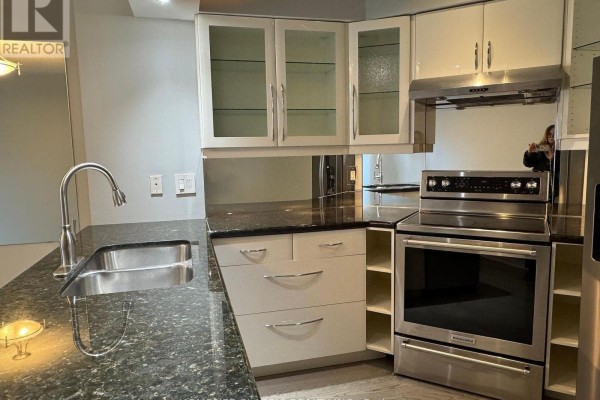 A kitchen area with a double sink, granite countertops, stainless steel appliances, and white cabinetry. - 905 - 909 Bay Street, Toronto