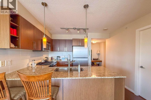 905 9868 Cameron Street, Burnaby, BC V3J0A5 Photo 3