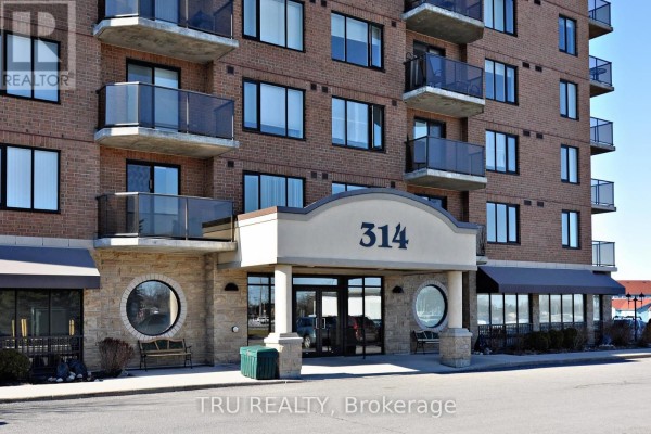 908 - 314 Central Park Drive, Ottawa, ON K2C0R2 Photo 2
