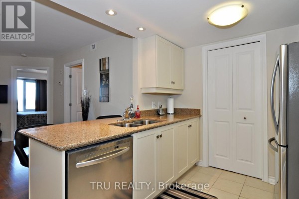 908 - 314 Central Park Drive, Ottawa, ON K2C0R2 Photo 4