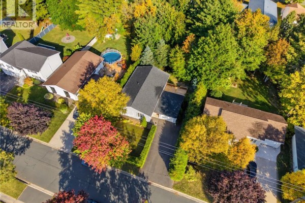 Overhead view of a residential street showing houses with colourful autumn foliage and a backyard pool. - 91 Bailey Avenue, Fredericton