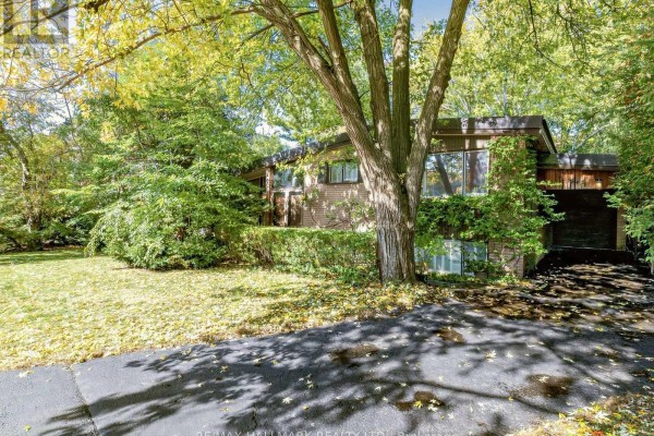 Family room - 91 Larkfield Drive, Toronto, ON M3B2H6 Photo 3