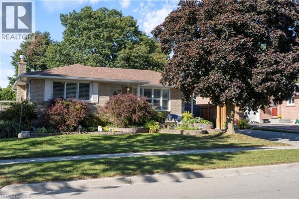 Kitchen - 91 Lynndale Road, Simcoe, ON N3Y4W9 Photo 3