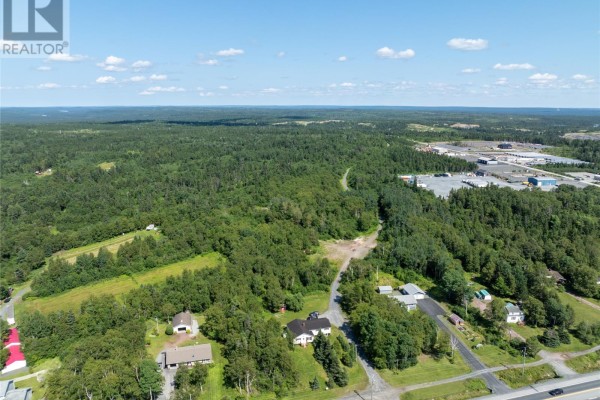 91 Trans Canada Highway, Appleton, NL A0G2K0 Photo 4
