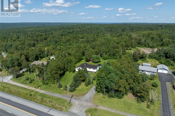 91 Trans Canada Highway, Appleton, NL A0G2K0 Photo 5