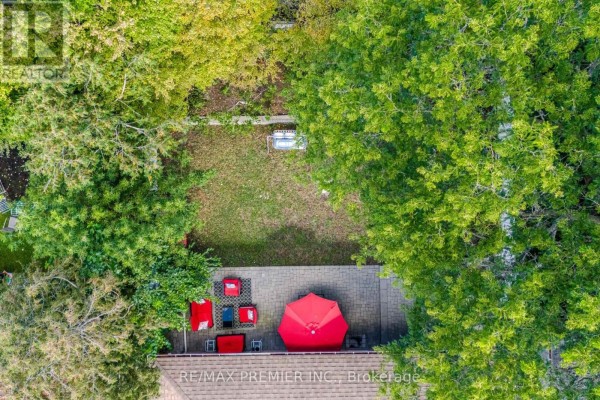 Aerial view of a backyard patio with red seating and a large red umbrella, surrounded by trees. - 91 Wigmore Drive, Toronto