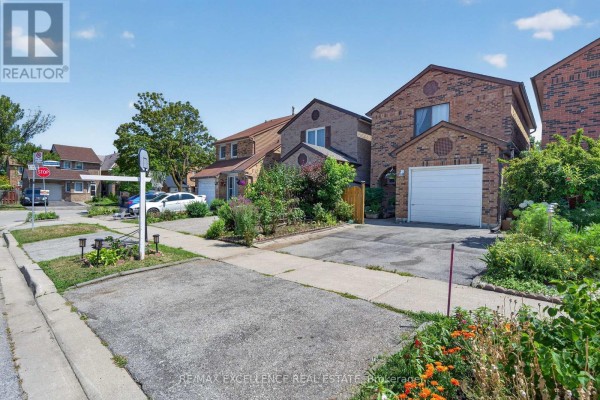 Kitchen - 91 Woolenscote Circle, Toronto, ON M9V4R6 Photo 3