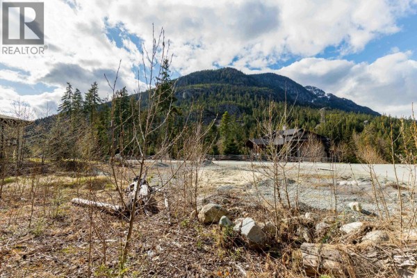 9112 Corduroy Run Court, Whistler, BC V8E1M1 Photo 2