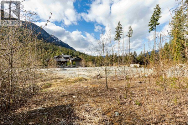 9112 Corduroy Run Court, Whistler, BC V8E1M1 Photo 3