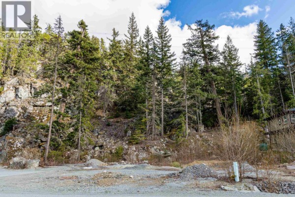 9112 Corduroy Run Court, Whistler, BC V8E1M1 Photo 4