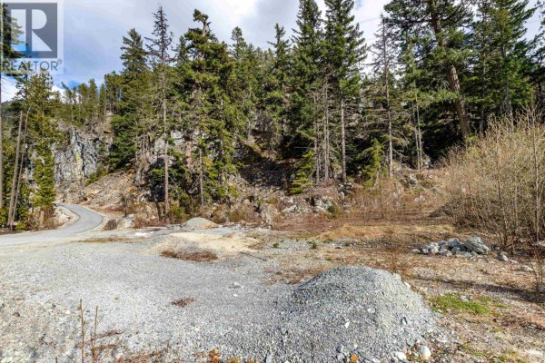 9112 Corduroy Run Court, Whistler, BC V8E1M1 Photo 5