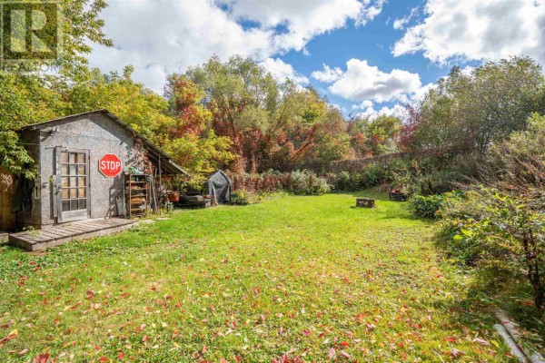 Expansive view of the backyard with green grass, scattered leaves, a shed, and a dense tree line. - 913 Bonney St, Sault Ste  Marie