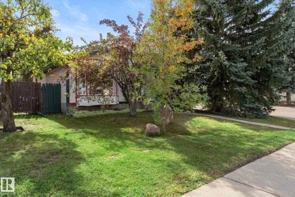 Kitchen - 9147 180a Av Nw, Edmonton, AB T5Z2K3 Photo 2