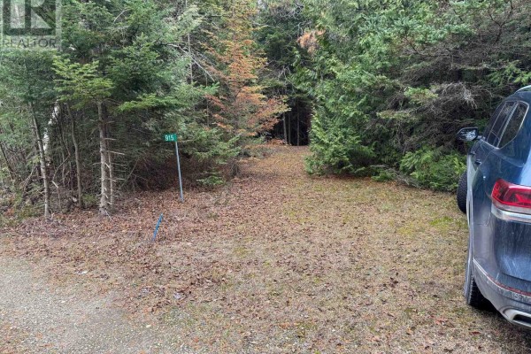 915 Third Avenue N, South Bruce Peninsula, ON, photo 2