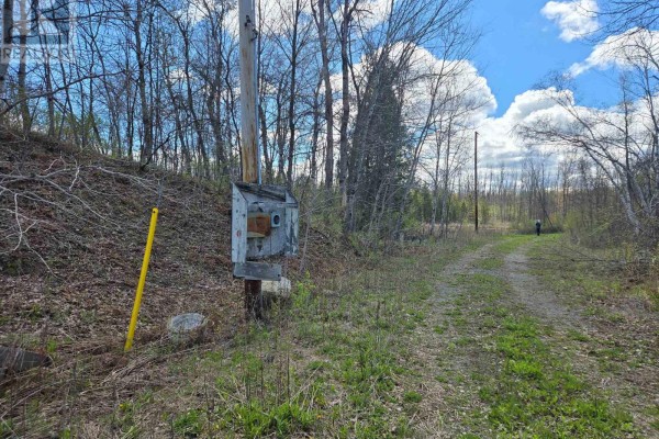 9152 Old Homestead Road, Georgina, ON L4P4E9 Photo 5