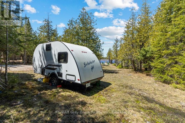916 Dorcas Bay Road, Northern Bruce Peninsula, ON N0H2R0 Photo 3
