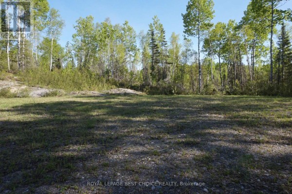 Dirt path through woods with a black pickup truck and bare trees. - 918420 Portage Bay Road, Timiskaming