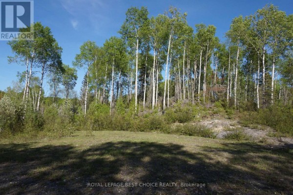 Open, level ground with a backdrop of mixed deciduous and evergreen trees. - 918420 Portage Bay Road, Timiskaming