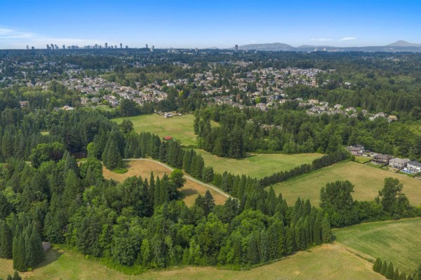 9186 164 Street, Surrey, BC V4N2Z8 Photo 2