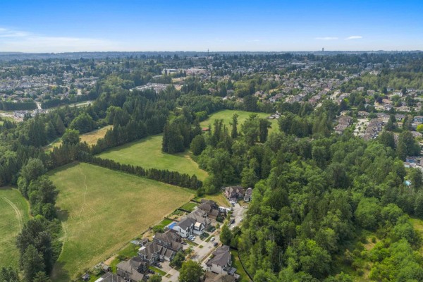 9186 164 Street, Surrey, BC V4N2Z8 Photo 3