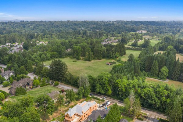 9186 164 Street, Surrey, BC V4N2Z8 Photo 5