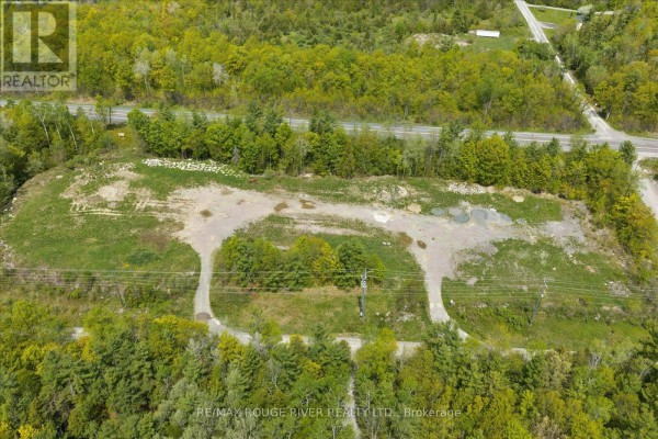 92 Boyd Road, Marmora And Lake, ON K0K2M0 Photo 4
