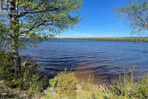Recreation room - 92 Sandy Point Road, Norris Arm, NL A0G3M0 Photo 4
