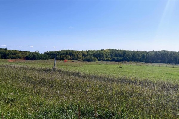 92 West Road, Eden, MB R0J0M0 Photo 4