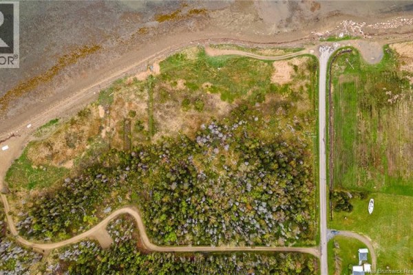 9236sm Ch De La Tourbière, Pokesudie