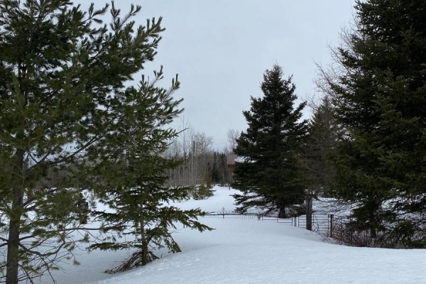 925 Hwy 593, Neebing, ON P7L0A2 Photo 4
